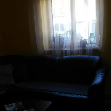 Nadasdy Studio